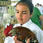 Livestock-Show-029.jpg