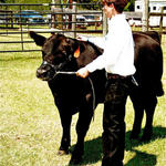 Livestock-Show-041.jpg