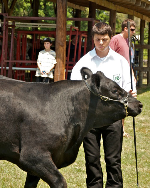 Livestock-Show-221.jpg
