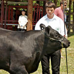Livestock-Show-221.jpg