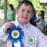 Livestock Show Gallery 2