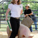 Livestock-Show-037.jpg