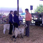 Livestock-Show-048.jpg