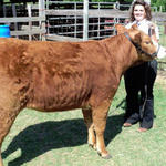 Livestock-Show-052.jpg