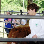 Livestock-Show-053.jpg