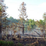 Brush-Fire-Power-Outage-020.jpg