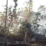 Brush-Fire-Power-Outage-022.jpg