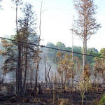 Brush-Fire-Power-Outage-025.jpg