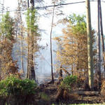 Brush-Fire-Power-Outage-032.jpg