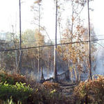 Brush-Fire-Power-Outage-041.jpg
