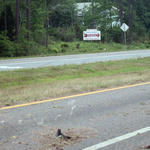 hwy29woodland41.jpg