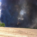 Wildfire-016.jpg