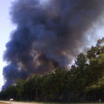 Wildfire-020.jpg