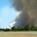 Wildfire-030.jpg