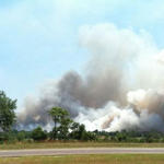 Wildfire-031.jpg