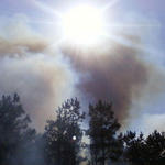Wildfire-036.jpg