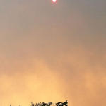 Wildfire-042.jpg