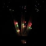 Flomaton-Century-Fireworks-25.jpg