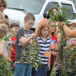 Elementary School Peanut Field Day