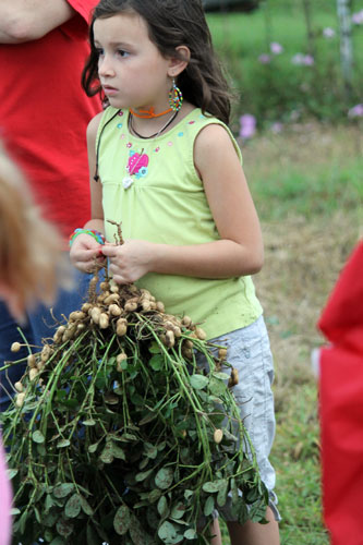 School-Peanut-Field-Day-025.jpg