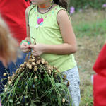 School-Peanut-Field-Day-025.jpg