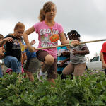 School-Peanut-Field-Day-028.jpg