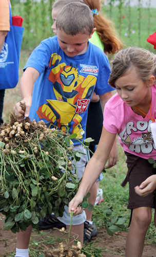 School-Peanut-Field-Day-036.jpg