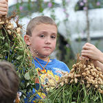 School-Peanut-Field-Day-042.jpg