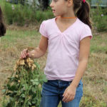 School-Peanut-Field-Day-051.jpg