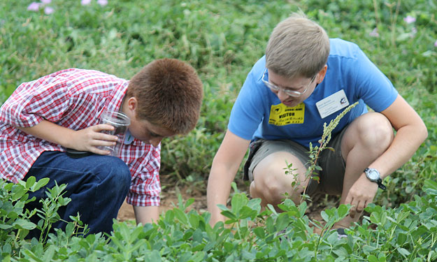 School-Peanut-Field-Day-060.jpg