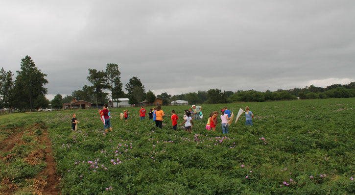 School-Peanut-Field-Day-065.jpg