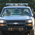 Bratt-Vehicle-Burglary-018.jpg