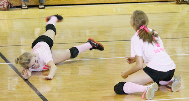 Dig-Pink-015b.jpg