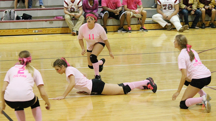 Dig-Pink-020a.jpg