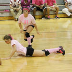 Dig-Pink-020a.jpg