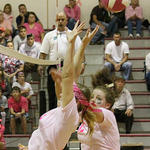 Dig-Pink-020d.jpg