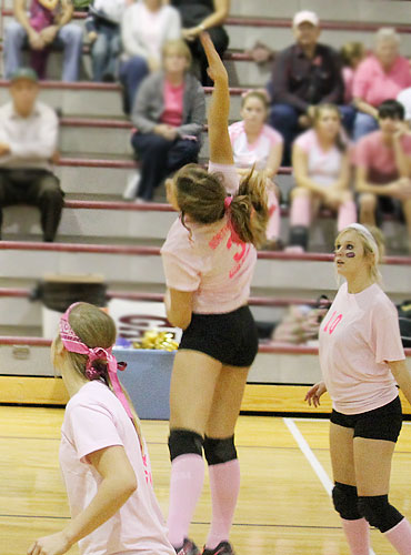 Dig-Pink-024.jpg