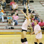 Dig-Pink-025.jpg
