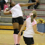 Dig-Pink-025a.jpg