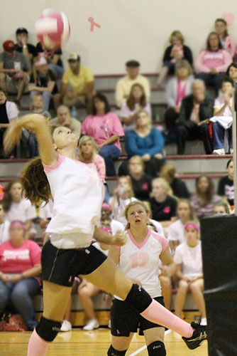 Dig-Pink-026.jpg