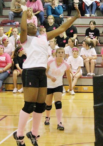 Dig-Pink-026a.jpg