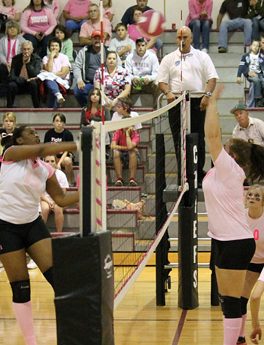 Dig-Pink-026c.jpg