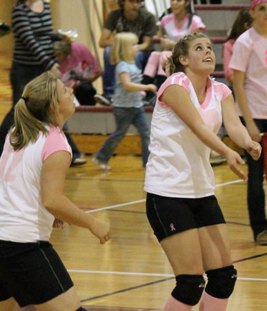 Dig-Pink-028a.jpg
