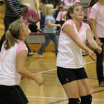 Dig-Pink-028a.jpg