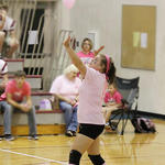 Dig-Pink-029.jpg