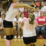 Dig-Pink-030.jpg