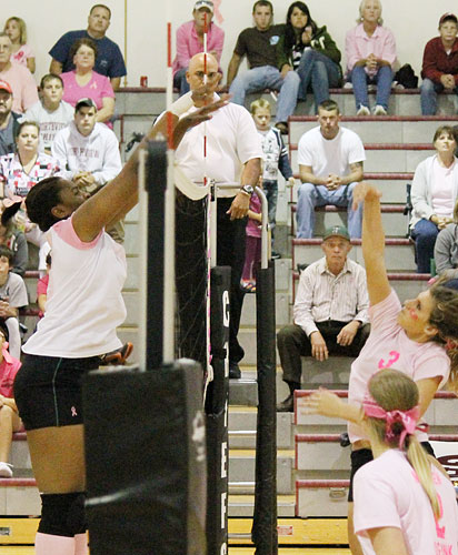 Dig-Pink-033.jpg