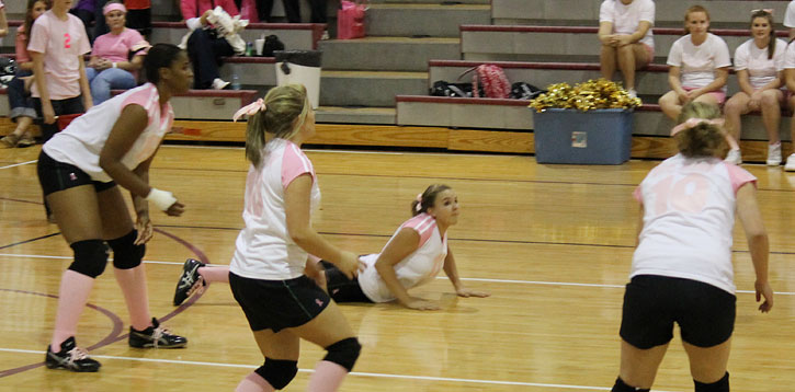 Dig-Pink-034.jpg