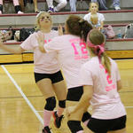 Dig-Pink-035.jpg