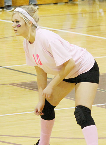 Dig-Pink-037.jpg